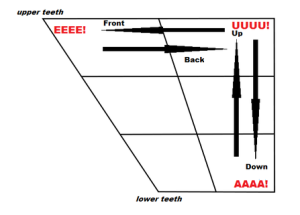 Vowels